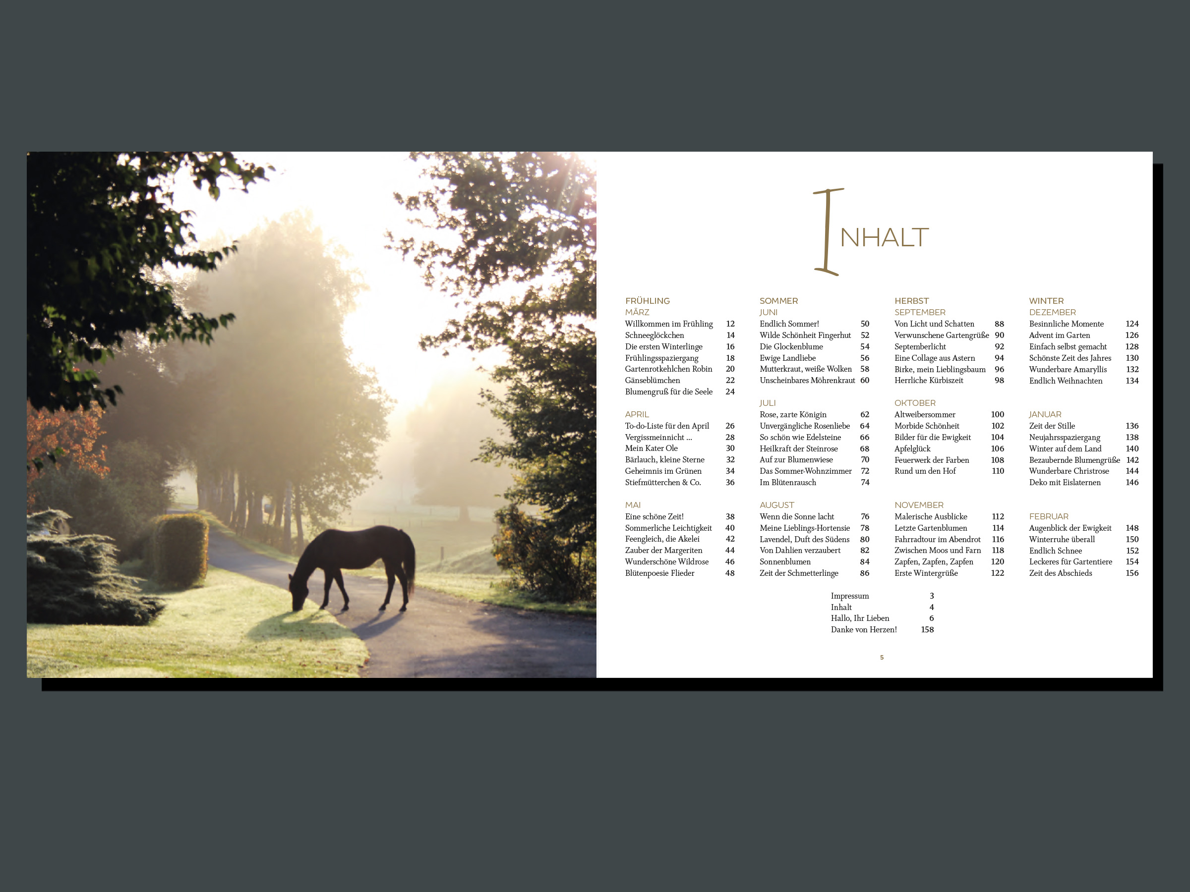Blickwinke_0405