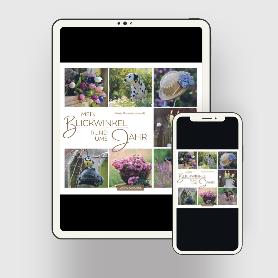 Blickwinkel_Produktfotos_quadrat