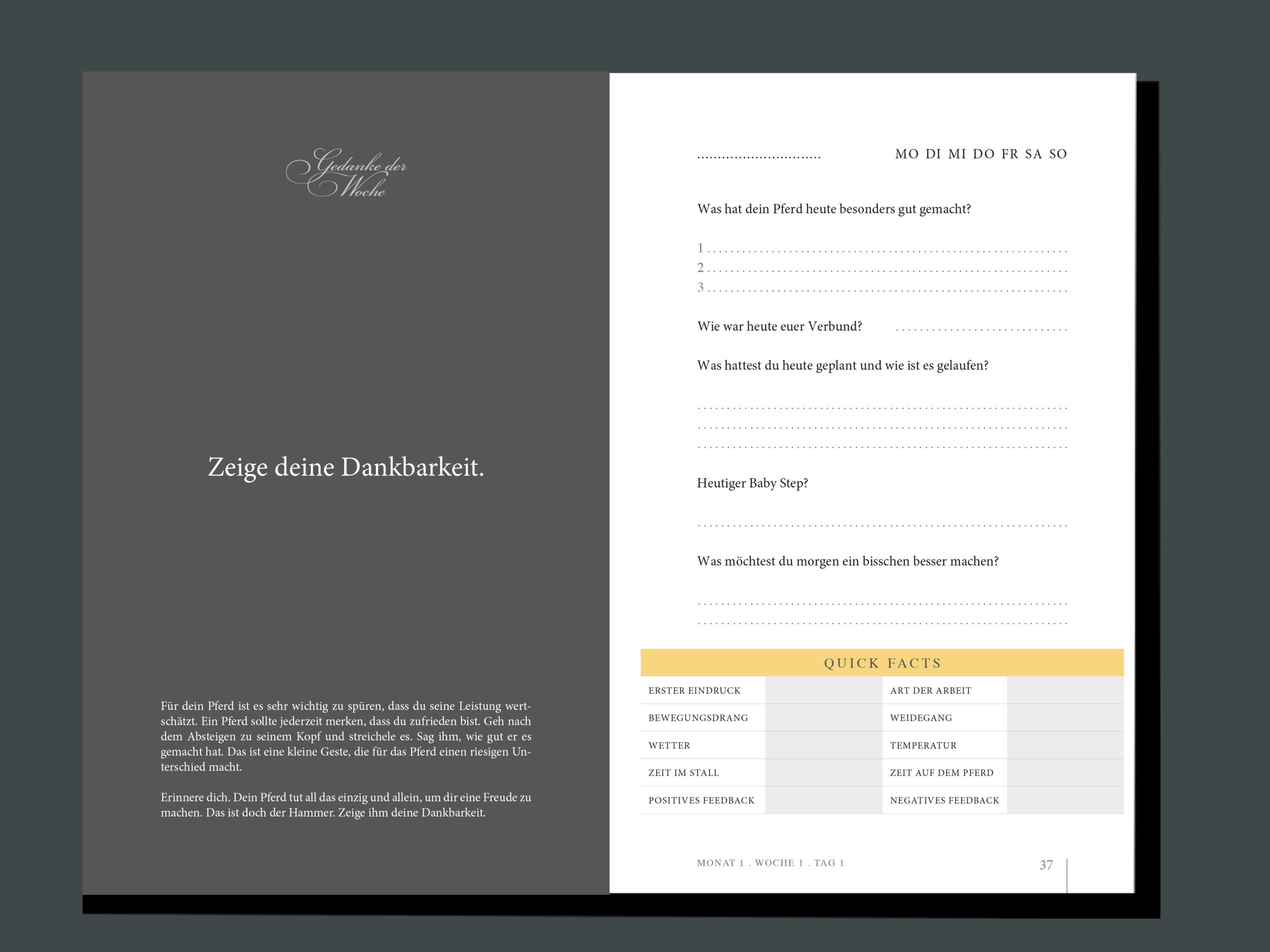 SWMP_Workbook_3637-scaled-1